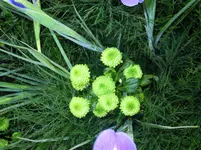 DSCN1612.webp