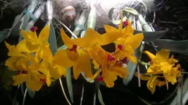 230320131382.webp