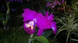 230320131383.webp