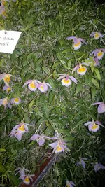 230320131384.webp