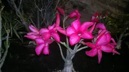 230320131388.webp