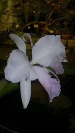 230320131390.webp