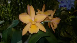 230320131391.webp