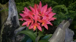 230320131392.webp