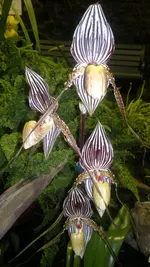 230320131393.webp