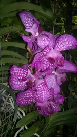 230320131394.webp