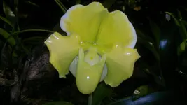 230320131397.webp