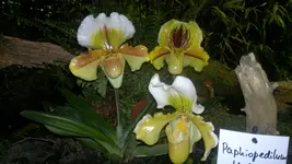 230320131398.webp