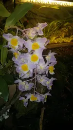 230320131399.webp