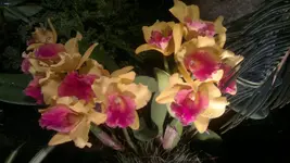 230320131412.webp