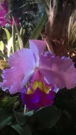 230320131415.webp