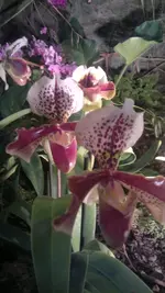 230320131419.webp