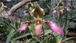 230320131424.webp