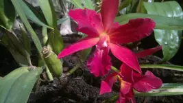 230320131429.webp