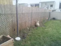 20130323_170342.webp