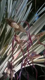 230320131407.webp