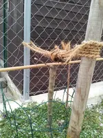 20130324_093002 (Large).webp