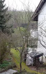 Zwetschge.webp