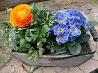 Frühling5.webp