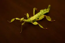 DSC02937.webp