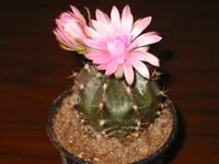 IMG_5727.webp