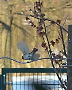 DSC_3516_Abflug.webp