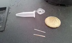 20130316_130655.jpg