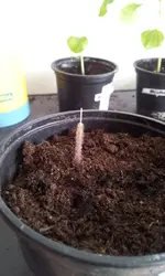 20130316_133329.jpg