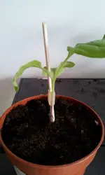 20130316_131542.jpg