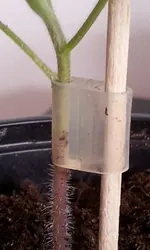 20130316_133739.jpg