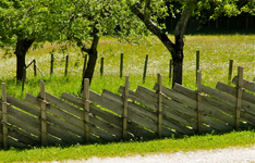 IMG_0616_2.webp
