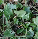 IMG_3499_klein.webp