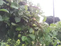 20120611_195831.webp