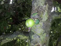20120611_195841.webp