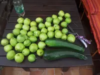 20120721_145738.webp