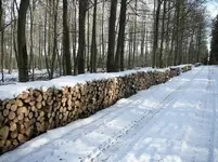 18-wohl geordnet.webp
