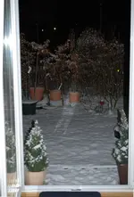 DSC_2846.2.webp