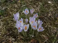BILD1931.webp