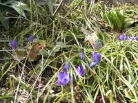 BILD1948.webp