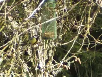 BILD1947.webp