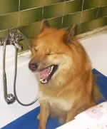 Badewanne_1..webp