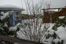 P1090121.webp