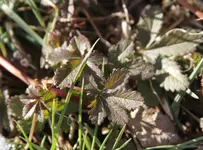 IMG_3454_klein.webp