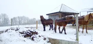 DSCF7978.2.webp