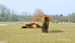 DSC_2778.3.webp