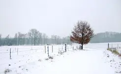 DSCF7989.3.webp