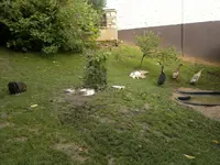 2012-07-15-470.webp
