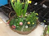HPIM9166.webp