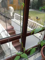 SAM_0550.webp
