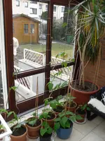 SAM_0549.webp
